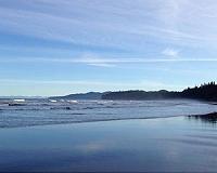 Study emphasizes challenges faced by marine organisms