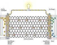 Graphane could act as efficient and water-free hydrogen fuel cell membrane
