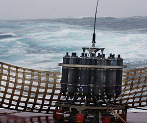 Genetic survey sheds light on Oceans' lean, mean microbial machines
