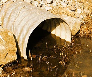 Billion-plus people to lack water in 2050: study