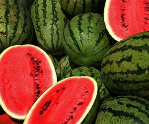 Scientists find clues to more disease resistant watermelons