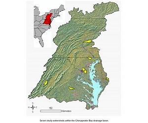 NASA Satellite Improves Pollution Monitoring