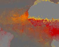 Cosmopolitan Microbes -- Hitchhikers On Darwin's Dust