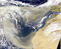 Dusty Hurricanes