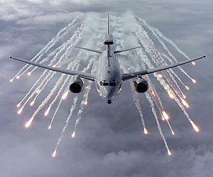 Aussie Wedgetails complete exercises