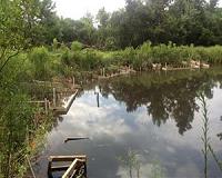 Flooding's impact on wetlands measurable via low-cost approach