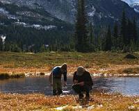 Climate change could leave Pacific Northwest amphibians high and dry