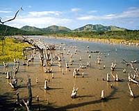 Scientists to discuss climate risk posed by wetlands destruction