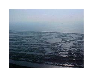 Winds, currents keep massive oil slick from shore