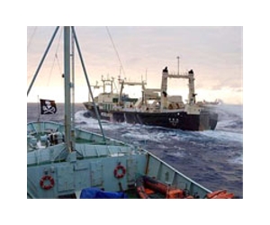Activists hurl stink bombs, paint at Japan whalers
