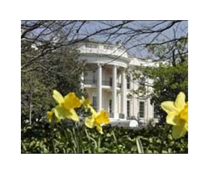 White House sends new START treaty to Senate