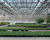 Sweden creates $1 mn prizes for sustainable food solutions