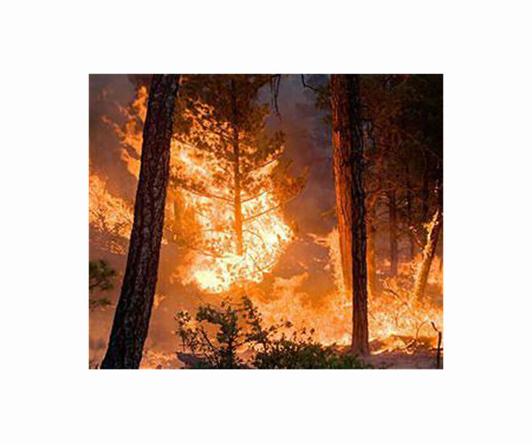 Giant New Mexico fire rages as drought-hit US West braces for summer