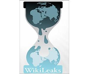 US lawmakers target WikiLeaks over informants