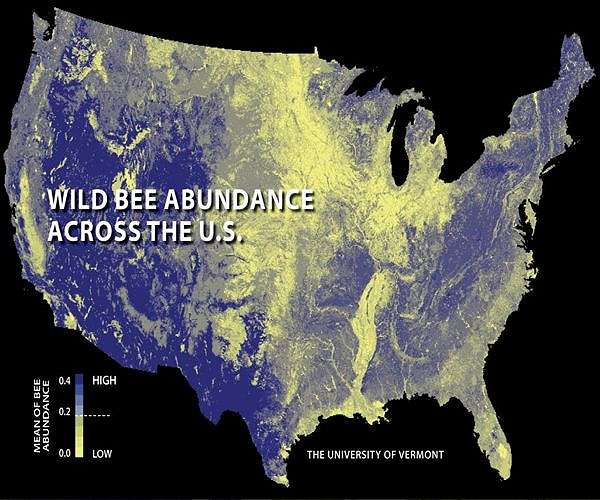 Colombian researchers seek safety for bees in urban jungle