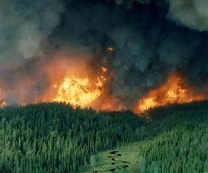 Northern Wildfires Threaten Runaway Climate Change