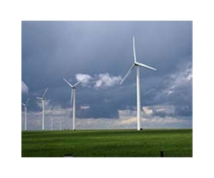 Mafia turning to wind farms to launder money