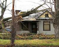 In Atmospheric River Storms, Wind Is a Risk, Too