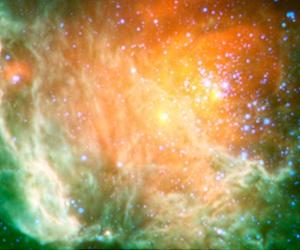 WISE Captures A Cosmic Rose
