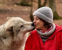 Dog-human cooperation is based on social skills of wolves