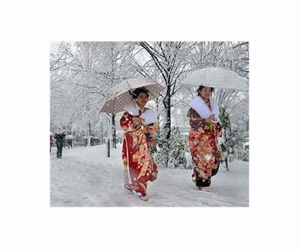 Rare snow in Tokyo blankets shrines, cancels flights