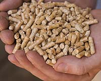 Smithsonian Scientists Highlight Environmental Impacts Of Biofuels