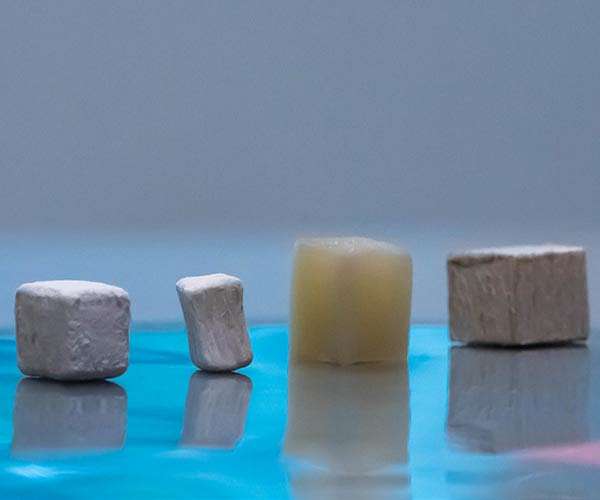 Engineered wood grows stronger while trapping carbon dioxide