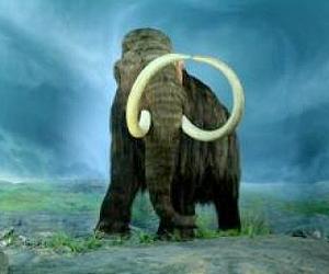 Scientist: Cloning extinct woolly mammoth technically possible
