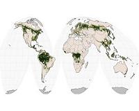 Is That a Forest? That Depends on How You Define It