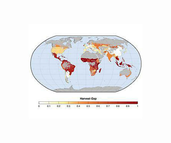 Global Agricultural Expansion Poses Significant Risks to Climate and Biodiversity