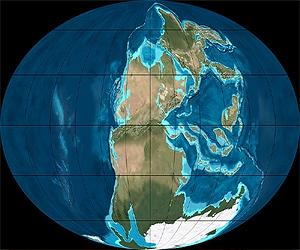Cincinnati's Algeo Tracks Evidence Of The Great Dying
