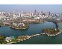 Wuhan's 'wet markets' struggle after virus lockdown