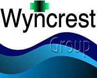 Wyncrest Group Targets Acquisitions In Solar Nanotechnology
