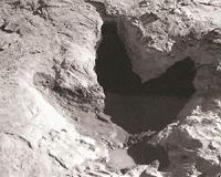 University of Alberta researcher tracks tyrannosaur's trail