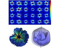 X-ray imaging of a single virus in 3-D