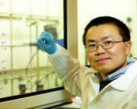 Chemists develop magnetically responsive liquid crystals
