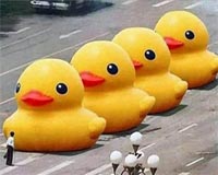 China censors squash giant inflatable toad reports