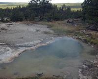 Scientists discover new microbes that thrive deep in the earth