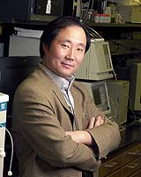 Disposable Sensor Uses DNA To Detect Hazardous Uranium Ions