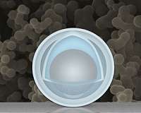 'Yolks' and 'shells' improve rechargeable batteries