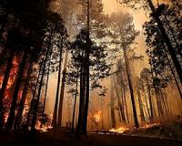 Hundreds of wildfires prompt Canadian troop deployment