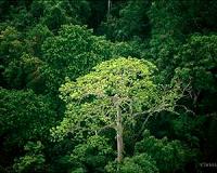 Climatologists offer explanation for widening of Earth's tropical belt