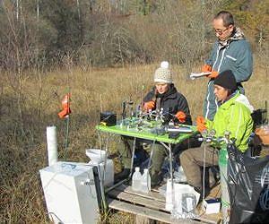 Uranium (IV) found to be mobile in a natural wetland
