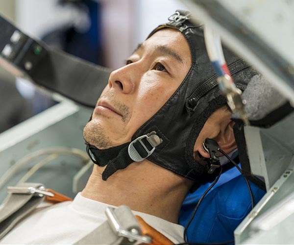 Japanese billionaire's lunar SpaceX voyage postponed