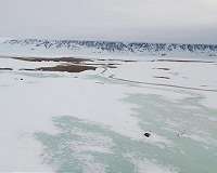 Greenland shed ice at unprecedented rate in 2019