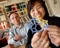 New family of chemical structures can effectively remove CO2 from gas mixtures