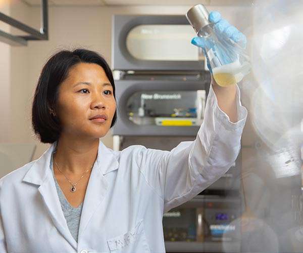 How sugar-loving microbes could help power future cars
